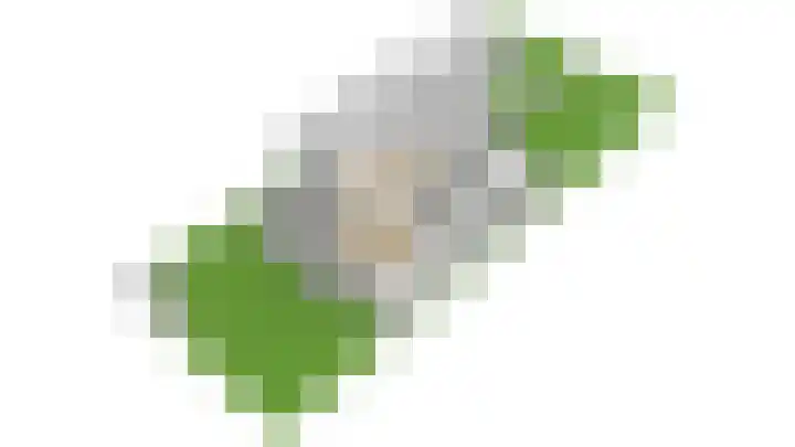 Speenkruidhof 13 Houten thumbnail 61