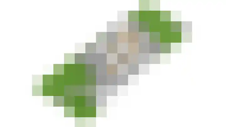 Speenkruidhof 13 Houten thumbnail 62