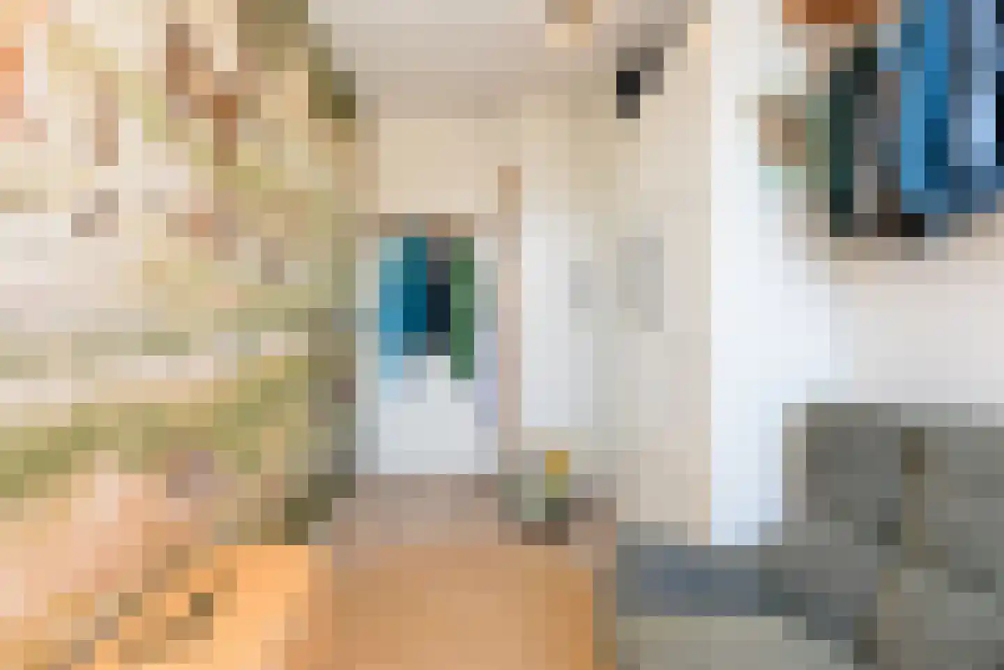 Speenkruidlaan 1 Baarn thumbnail 38