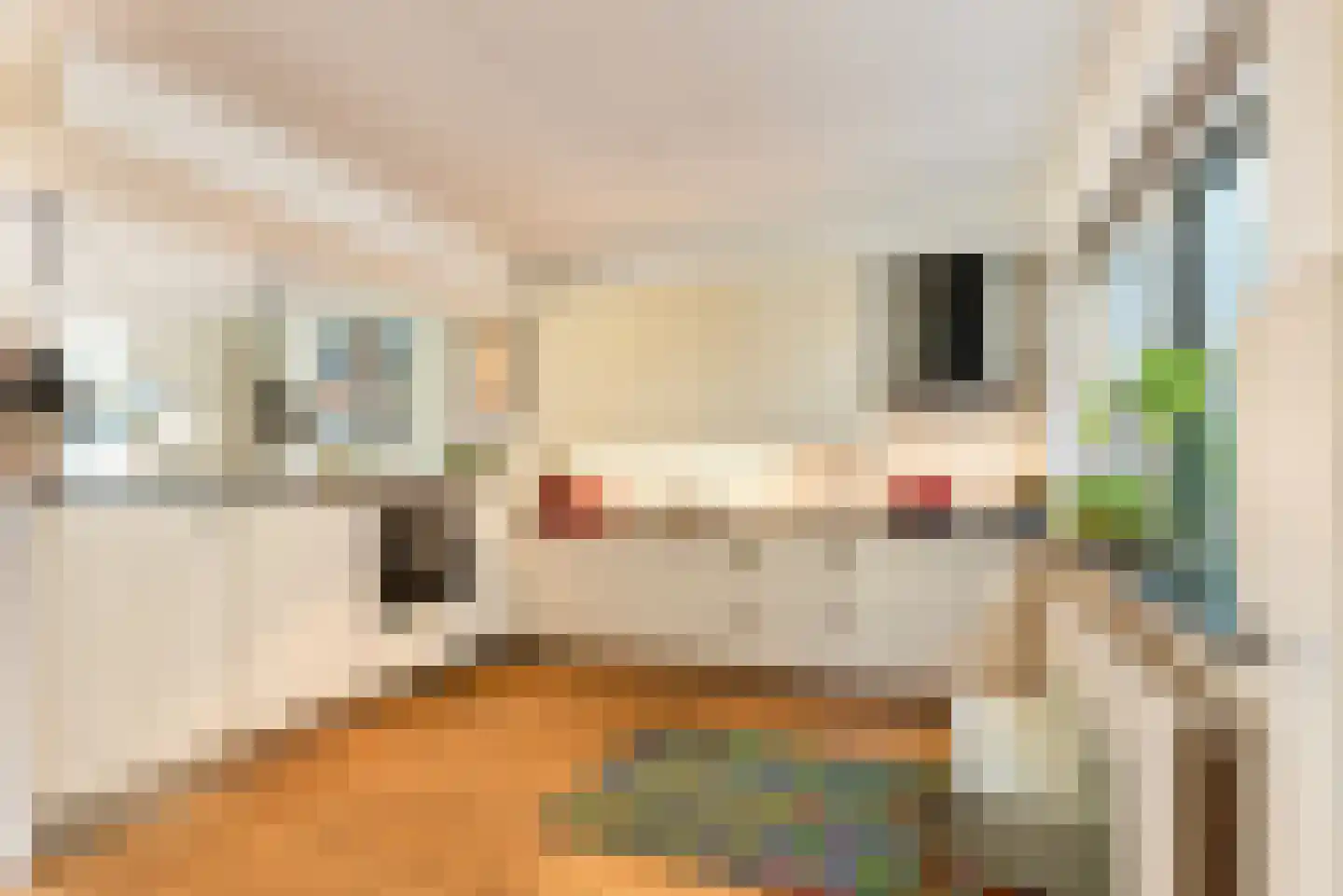 Speenkruidlaan 1 Baarn thumbnail 4