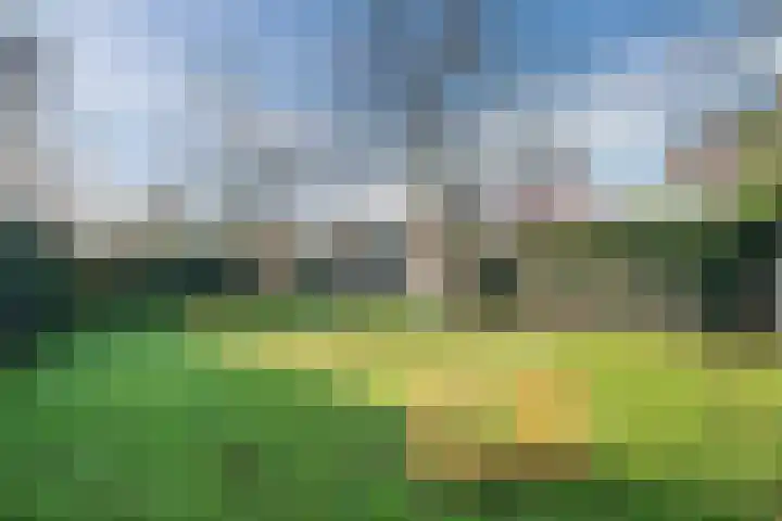 Speenkruidlaan 2 Akersloot thumbnail 45