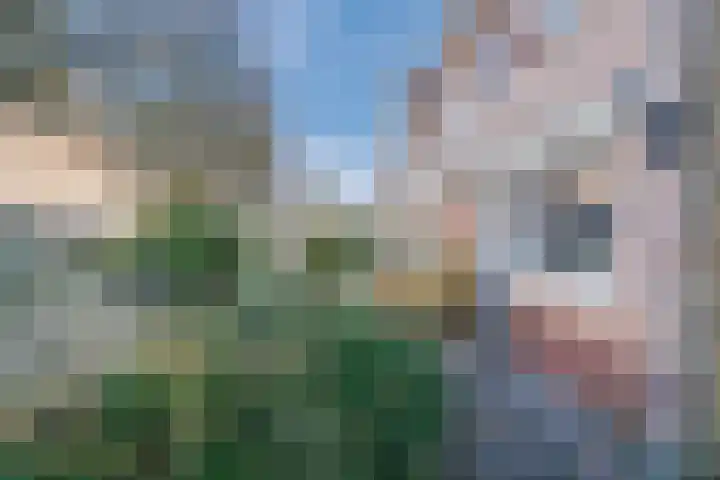 Speenkruidlaan 2 Akersloot thumbnail 48