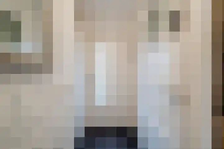Speenkruidlaan 2 Akersloot thumbnail 7
