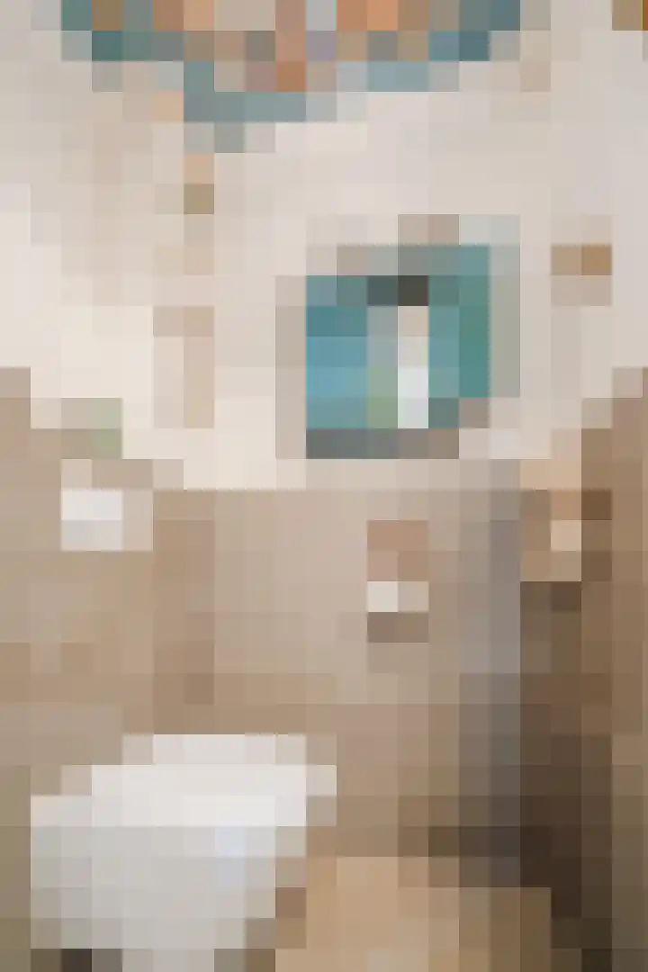 Speenkruidlaan 2 Akersloot thumbnail 8