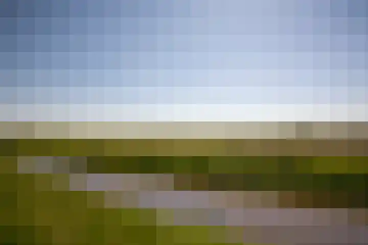 Speenkruidlaan 23 Baarn thumbnail 25