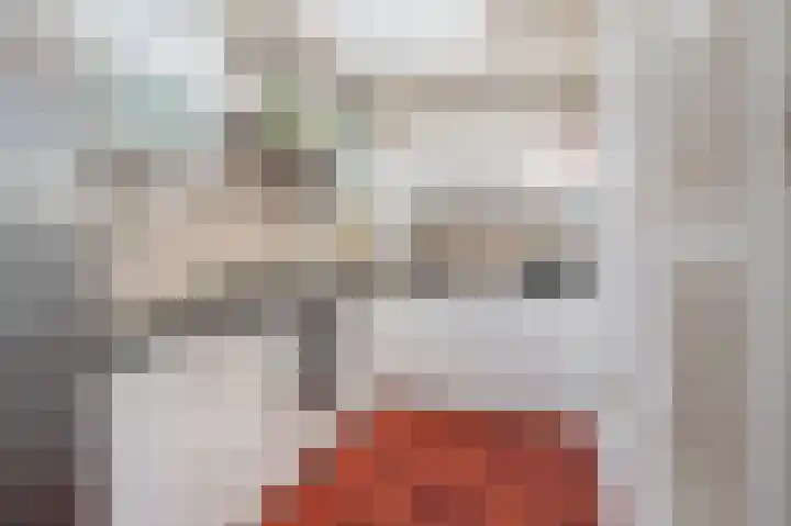 Speenkruidstraat 1 Groningen thumbnail 21