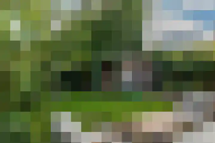 Speenkruidstraat 1 Groningen thumbnail 37