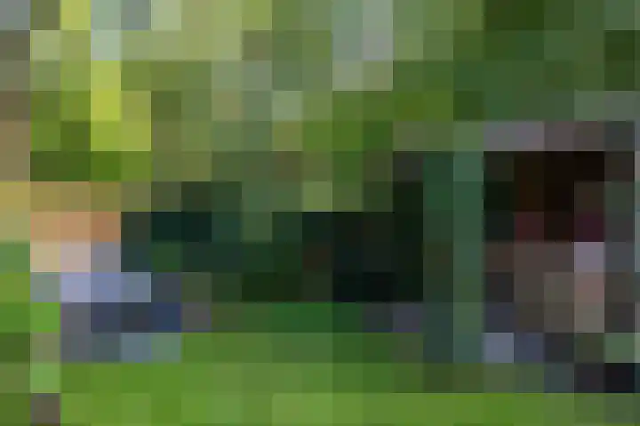 Speenkruidstraat 1 Groningen thumbnail 38
