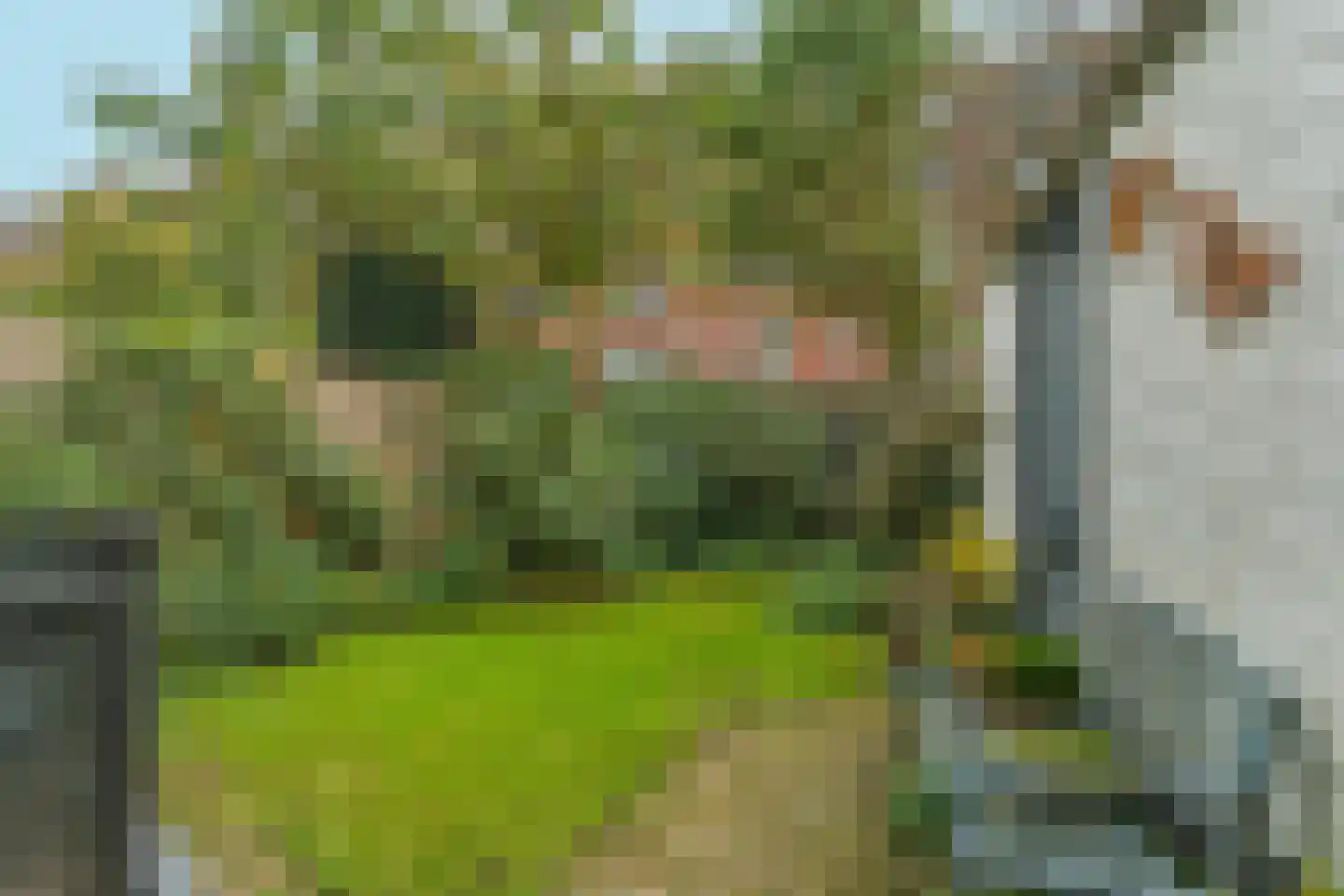 Speenkruidstraat 10 Den Haag thumbnail 6