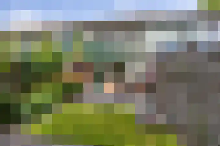 Speenkruidstraat 121 Groningen thumbnail 11