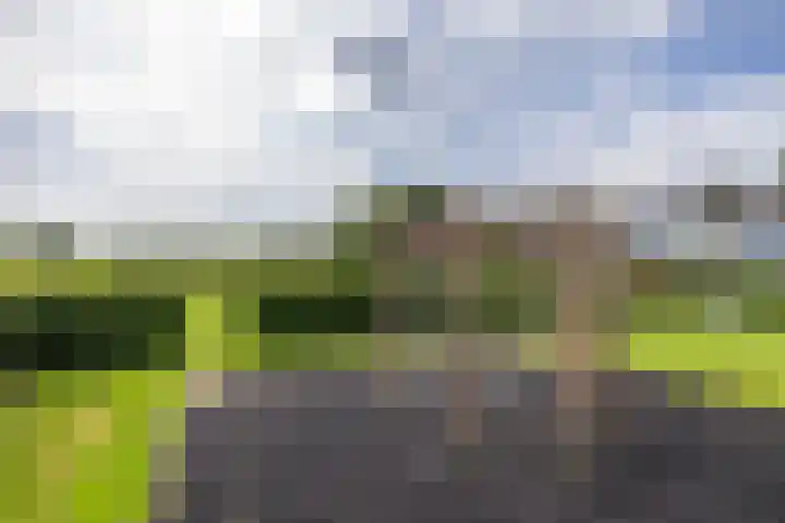 Speenkruidstraat 121 Groningen thumbnail 32