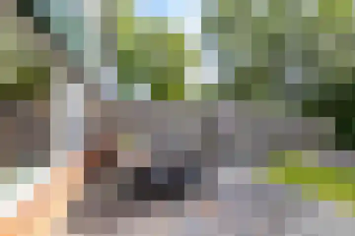 Speenkruidstraat 121 Groningen thumbnail 9