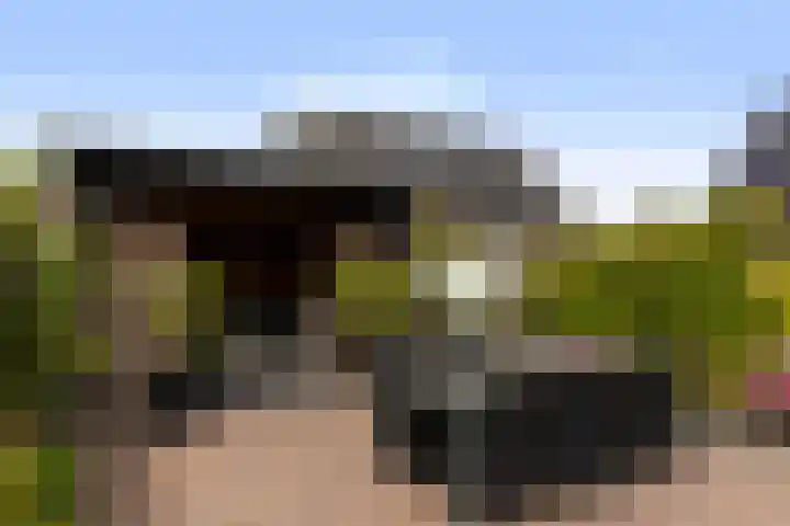 Speenkruidstraat 15 Appingedam thumbnail 30