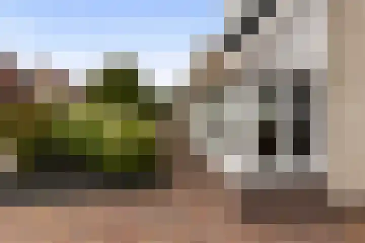 Speenkruidstraat 15 Appingedam thumbnail 33
