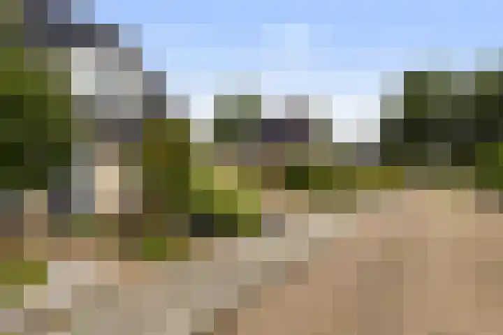 Speenkruidstraat 15 Appingedam thumbnail 36