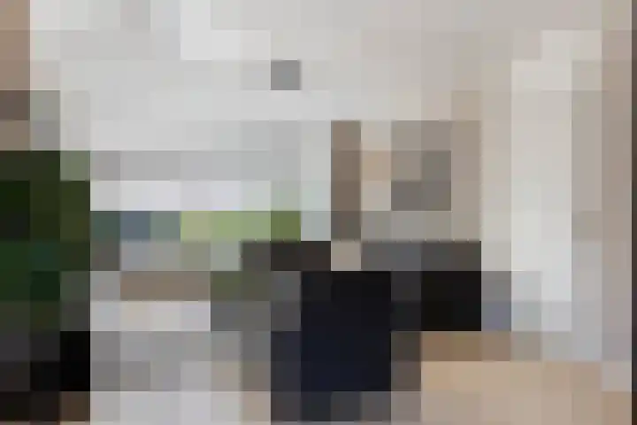 Speenkruidstraat 15 Appingedam thumbnail 4