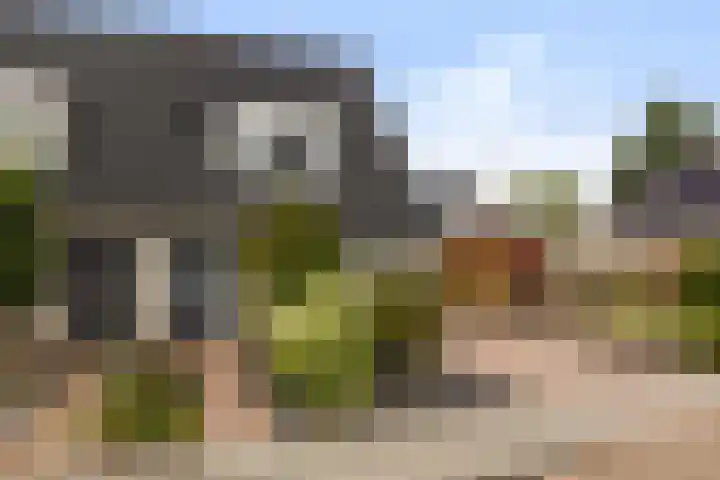 Speenkruidstraat 15 Appingedam thumbnail 7