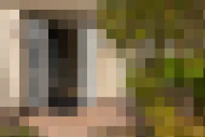 Speenkruidstraat 15 Appingedam thumbnail 8
