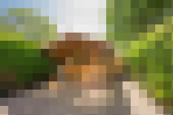 Speenkruidstraat 15 Soest thumbnail 31