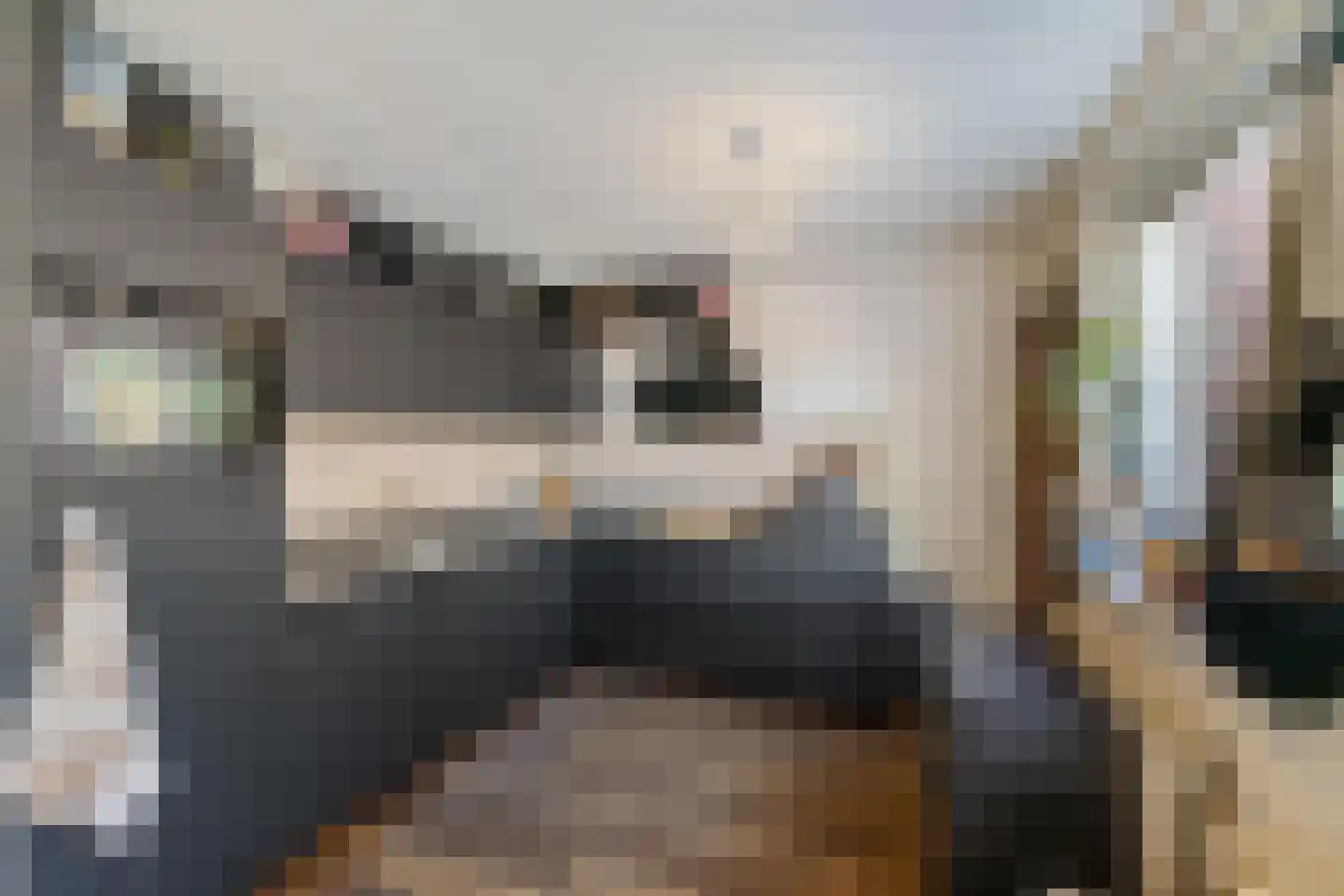 Speenkruidstraat 152 Groningen thumbnail 4