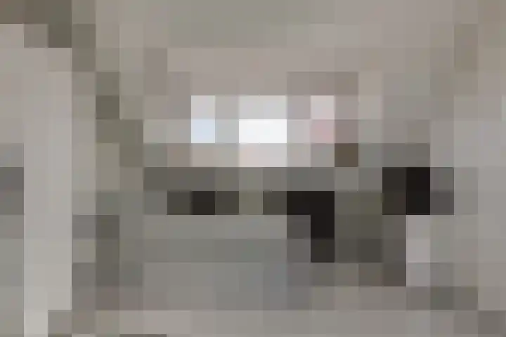 Speenkruidstraat 21 Berkel en Rodenrijs thumbnail 25