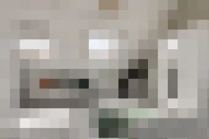 Speenkruidstraat 21 Berkel en Rodenrijs thumbnail 26