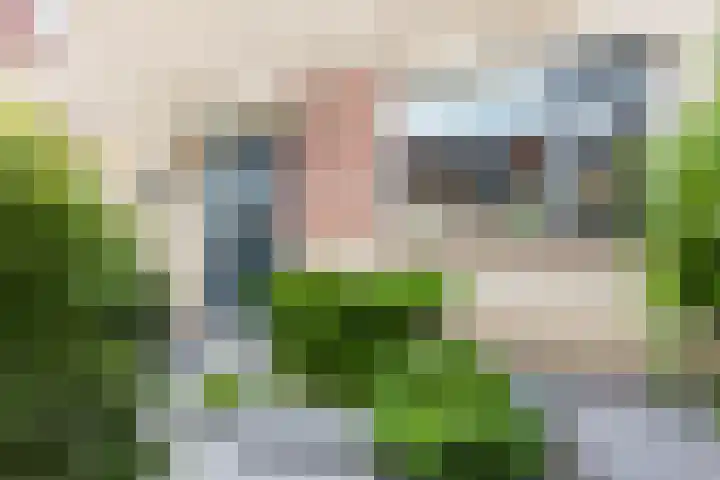 Speenkruidstraat 21 Berkel en Rodenrijs thumbnail 4