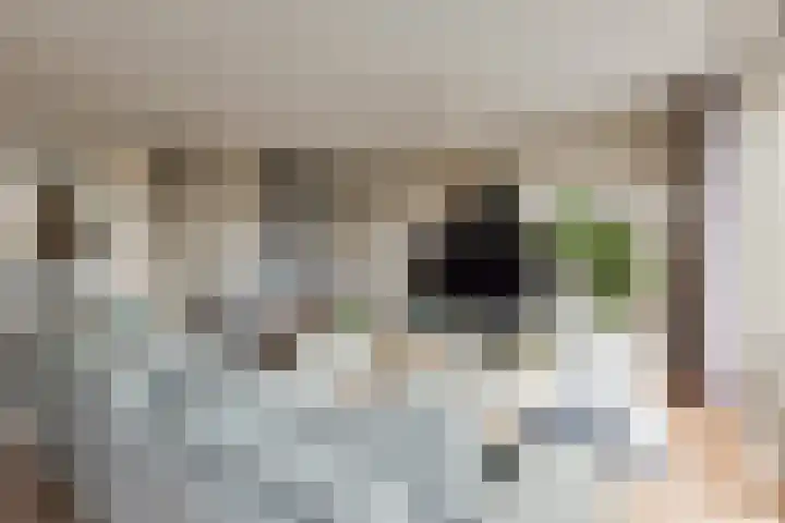 Speenkruidstraat 21 Berkel en Rodenrijs thumbnail 6