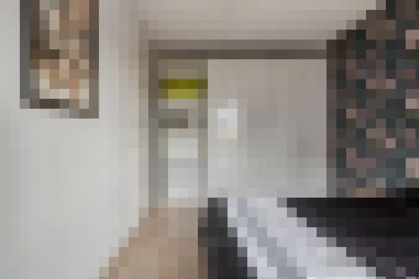Speenkruidstraat 3 Heerhugowaard thumbnail 15