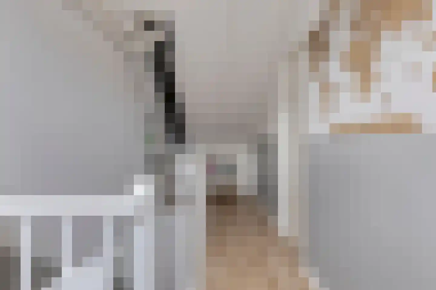 Speenkruidstraat 3 Heerhugowaard thumbnail 22