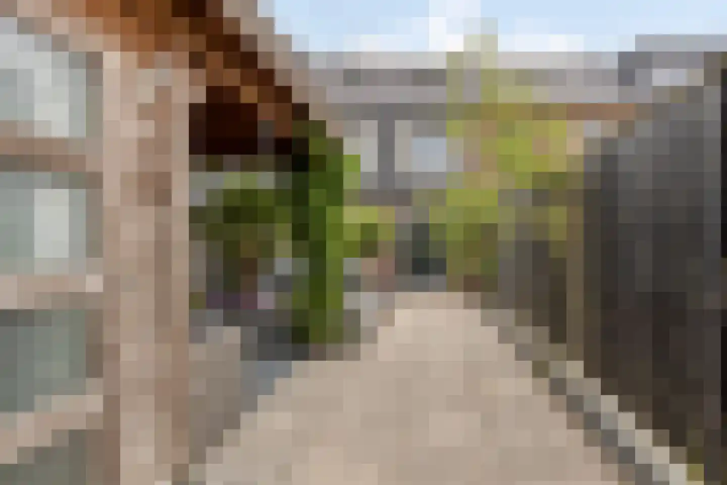 Speenkruidstraat 3 Heerhugowaard thumbnail 31