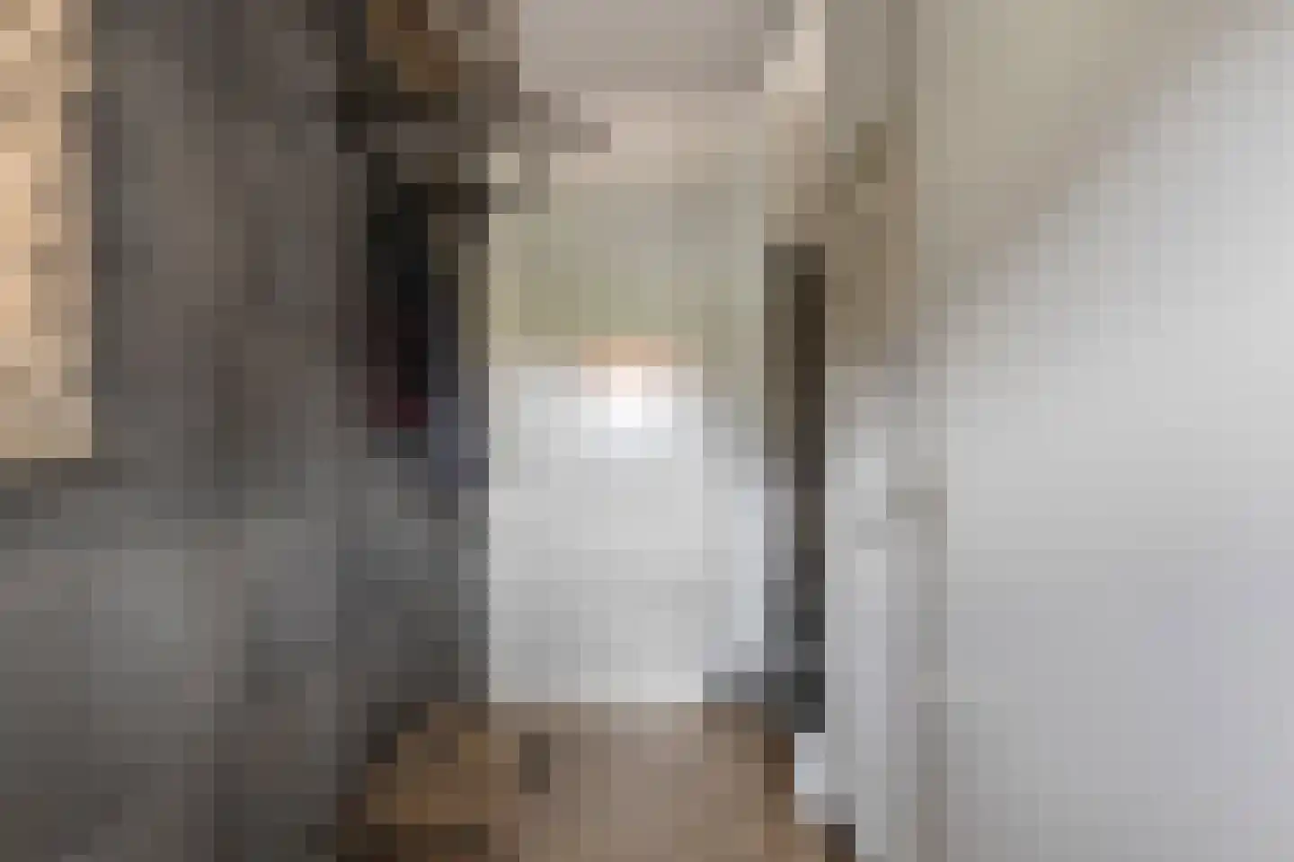 Speenkruidstraat 3 Heerhugowaard thumbnail 6