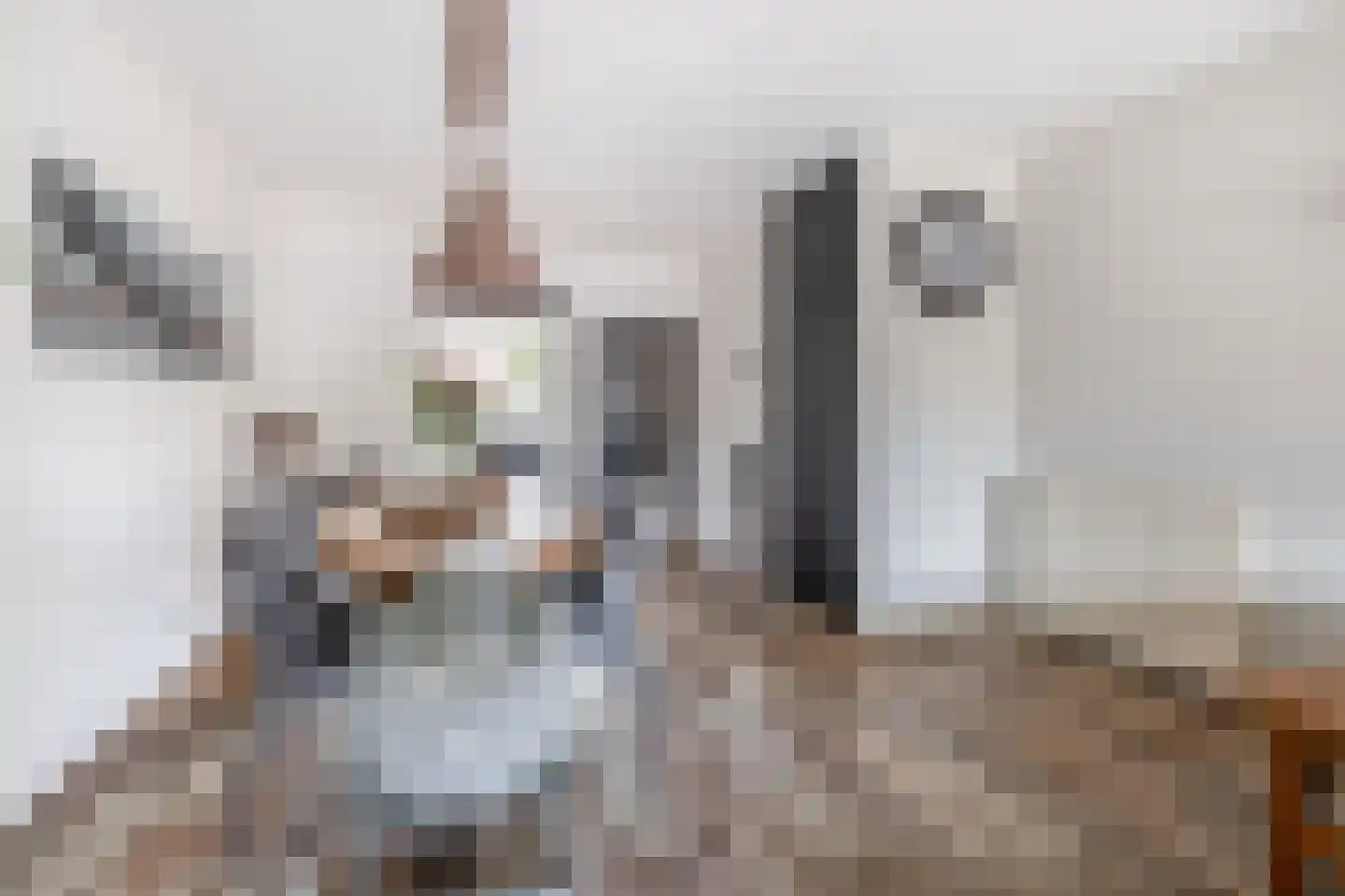 Speenkruidstraat 31 Reuver thumbnail 11