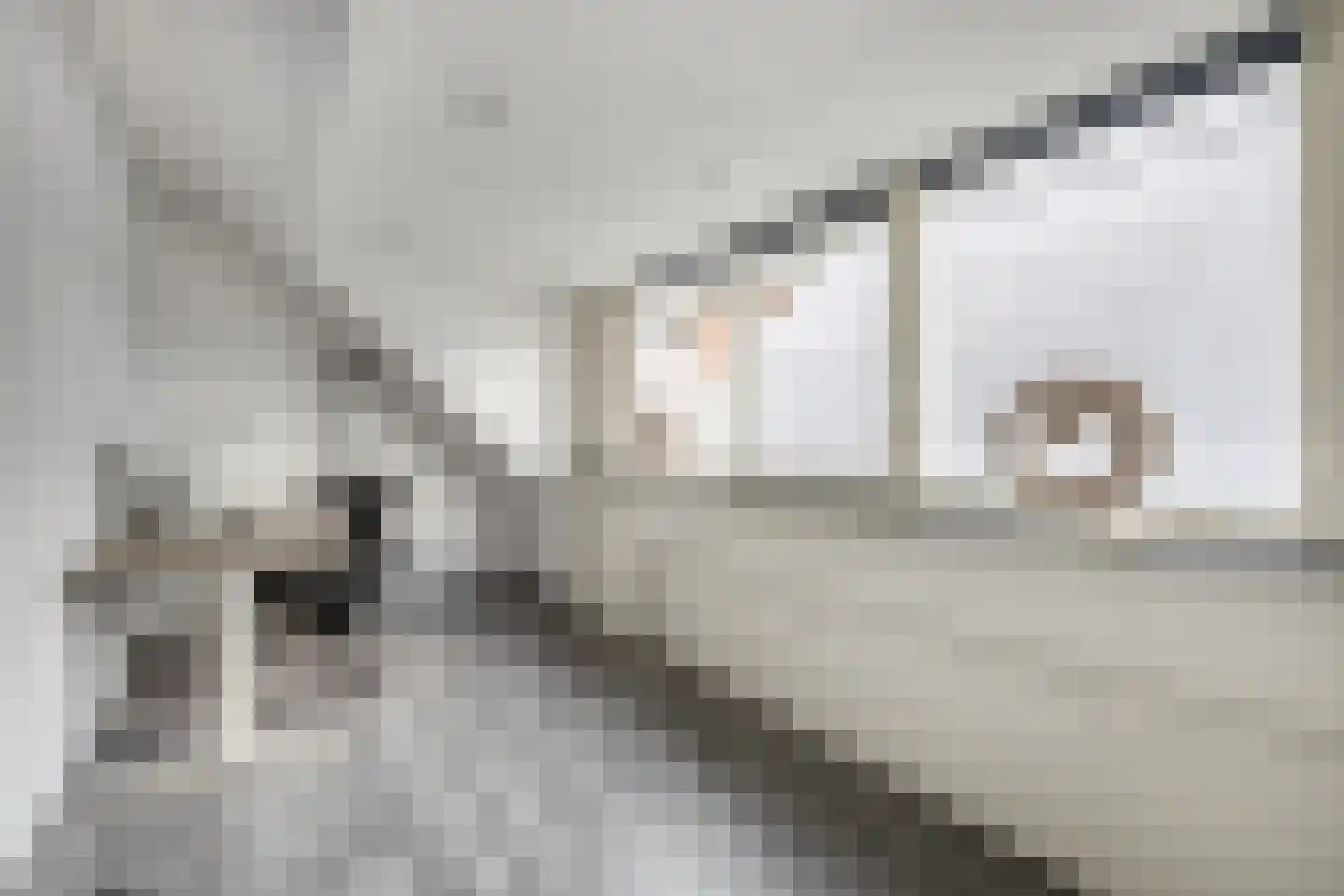 Speenkruidstraat 31 Reuver thumbnail 22