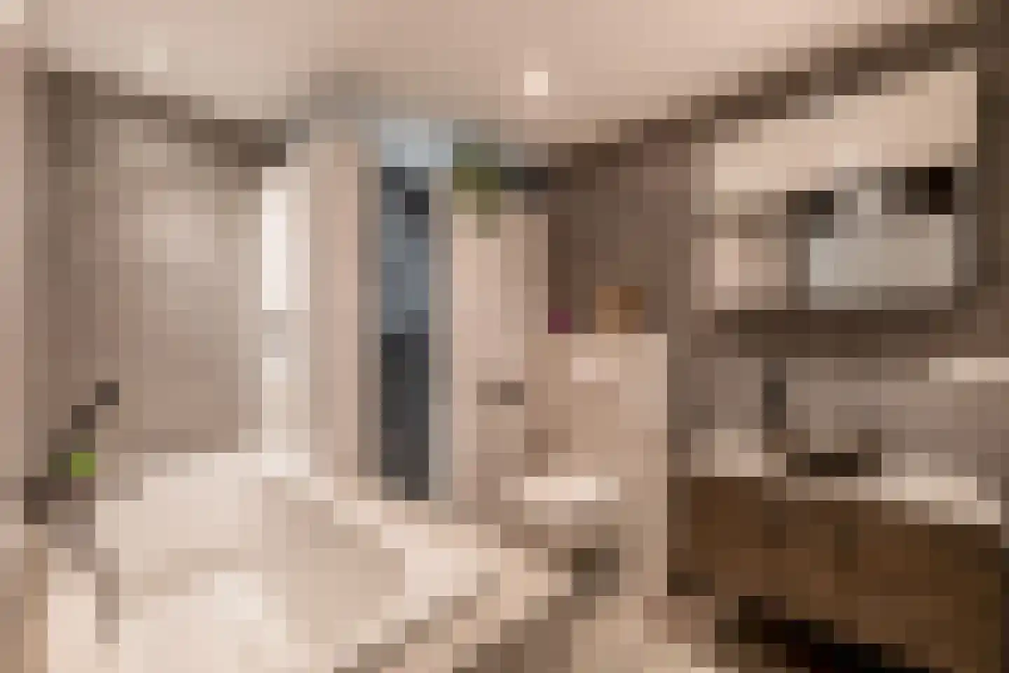 Speenkruidstraat 31 Reuver thumbnail 24