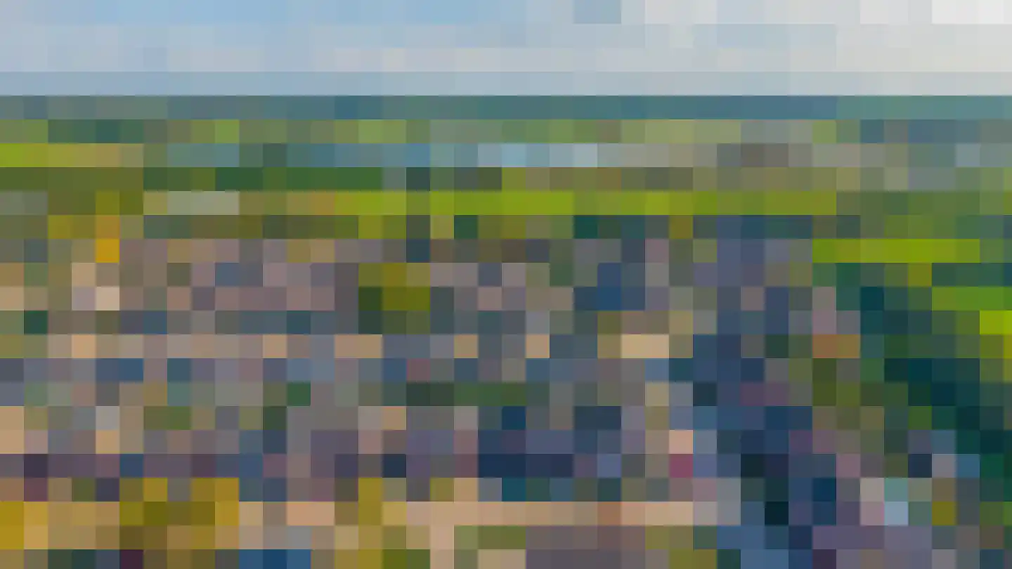 Speenkruidstraat 31 Reuver thumbnail 31