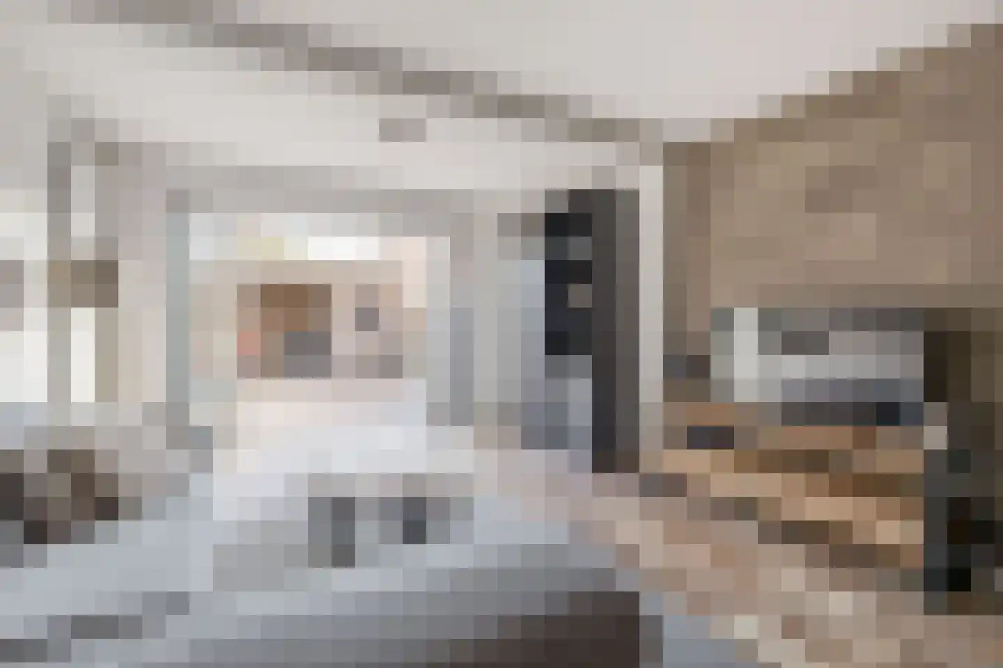 Speenkruidstraat 31 Reuver thumbnail 7
