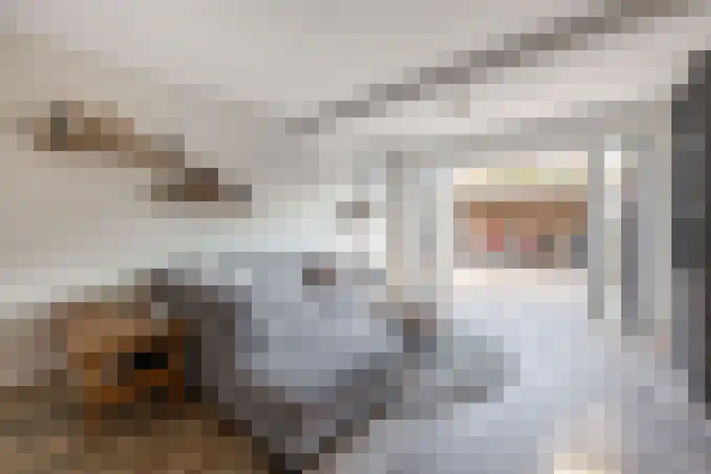 Speenkruidstraat 31 Reuver thumbnail 8