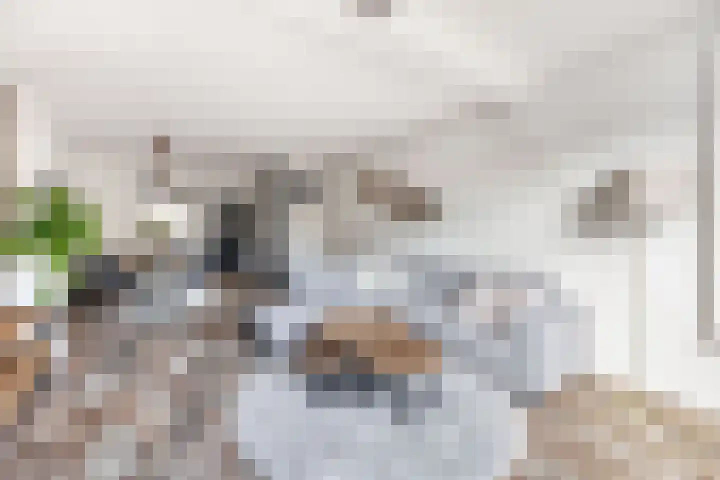 Speenkruidstraat 31 Reuver thumbnail 9
