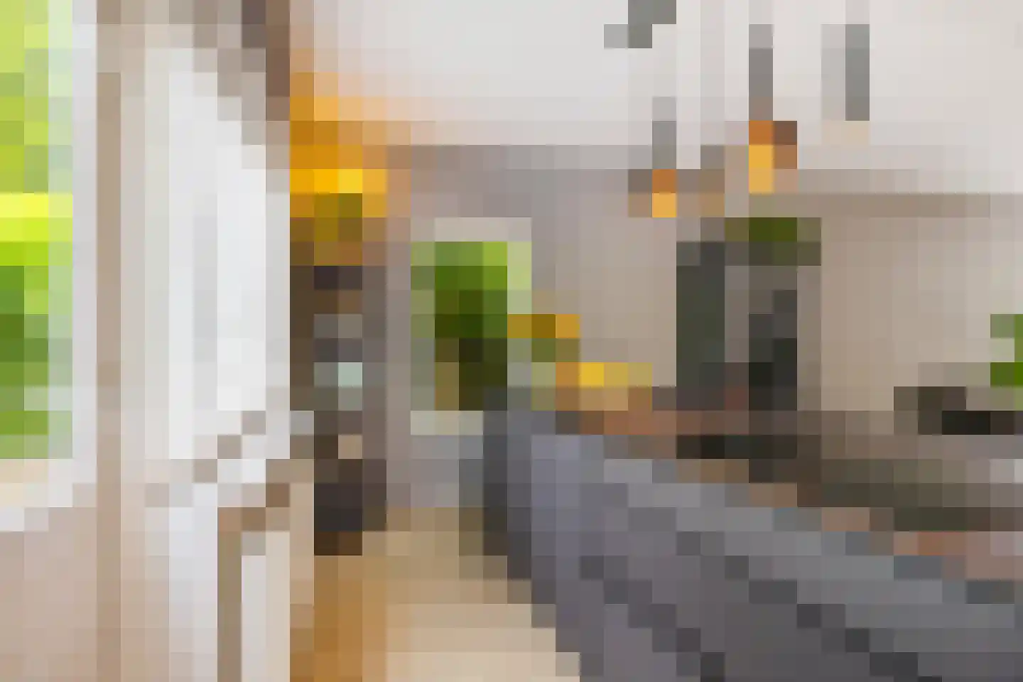 Speenkruidstraat 32 Groningen thumbnail 20