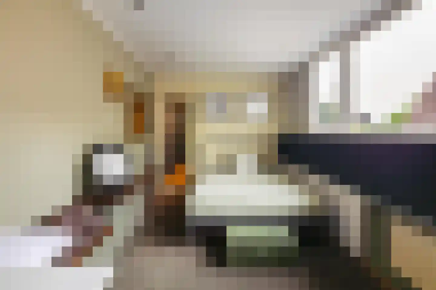 Speenkruidstraat 32 Groningen thumbnail 35