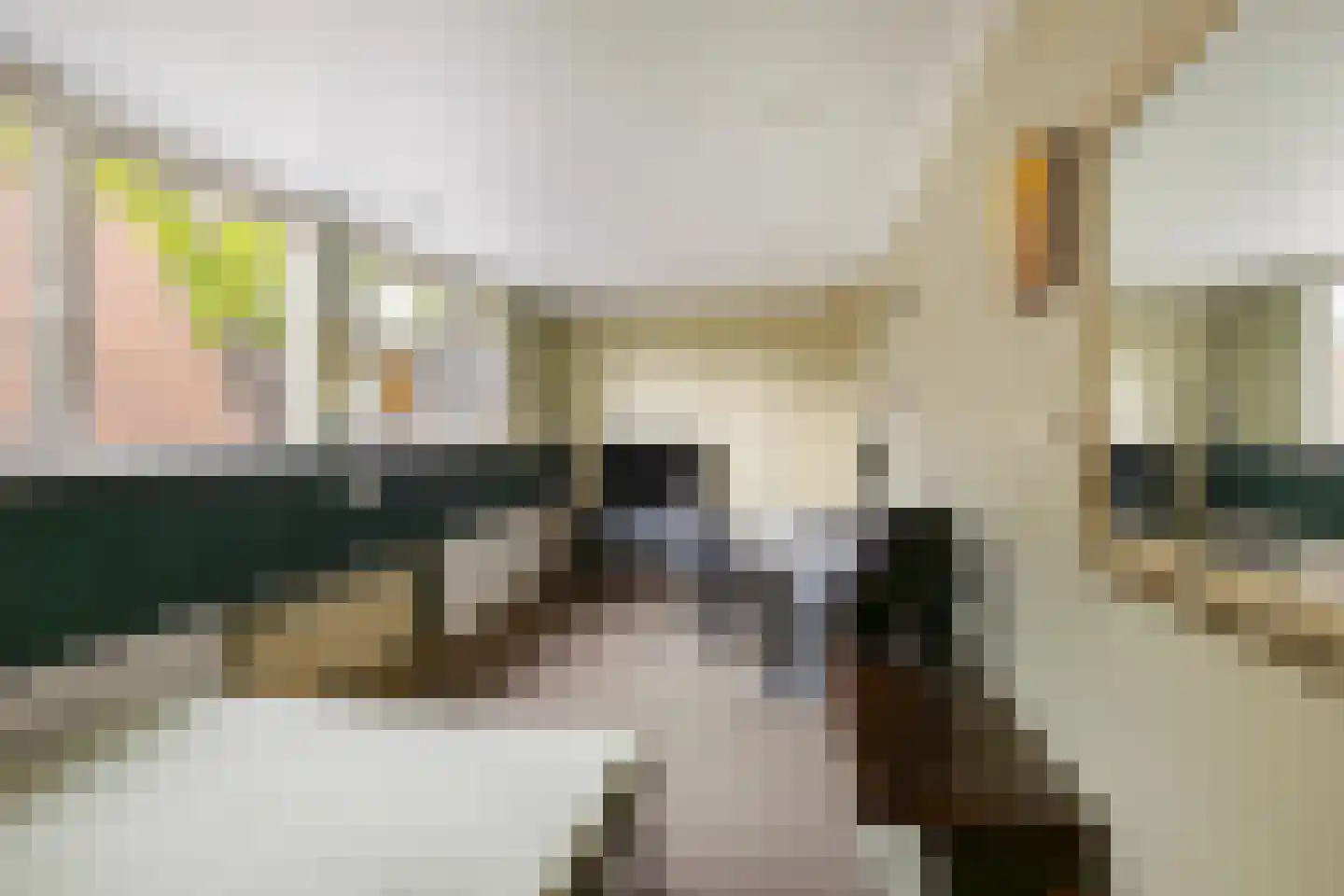 Speenkruidstraat 32 Groningen thumbnail 36