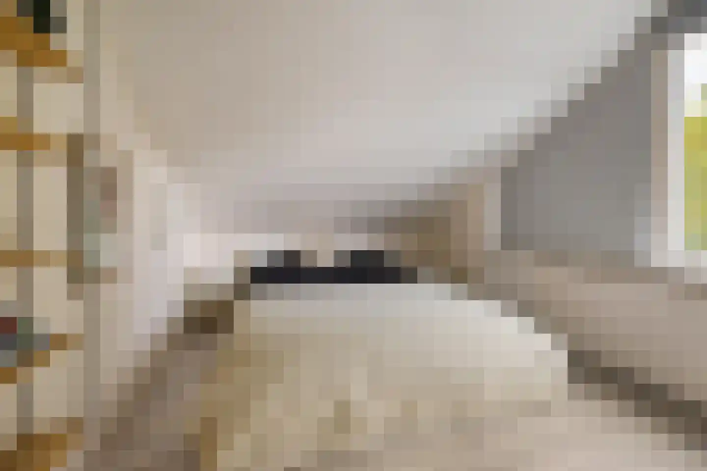 Speenkruidstraat 32 Groningen thumbnail 38