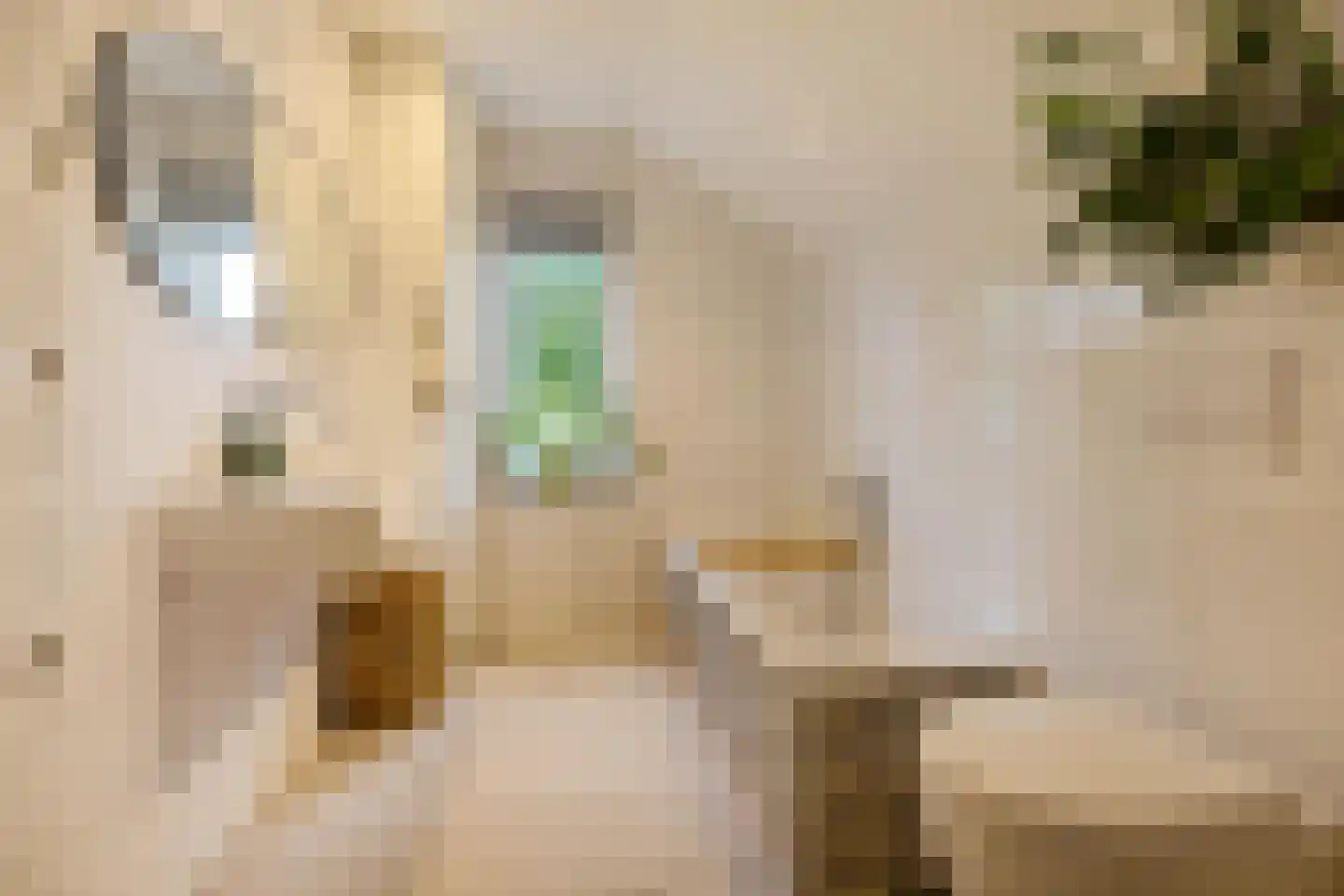 Speenkruidstraat 32 Groningen thumbnail 39