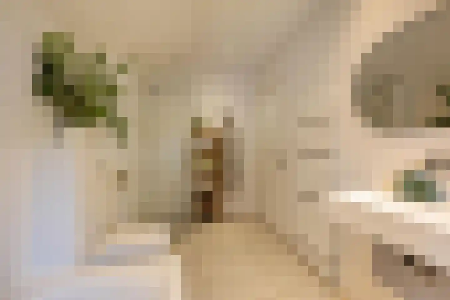 Speenkruidstraat 32 Groningen thumbnail 40