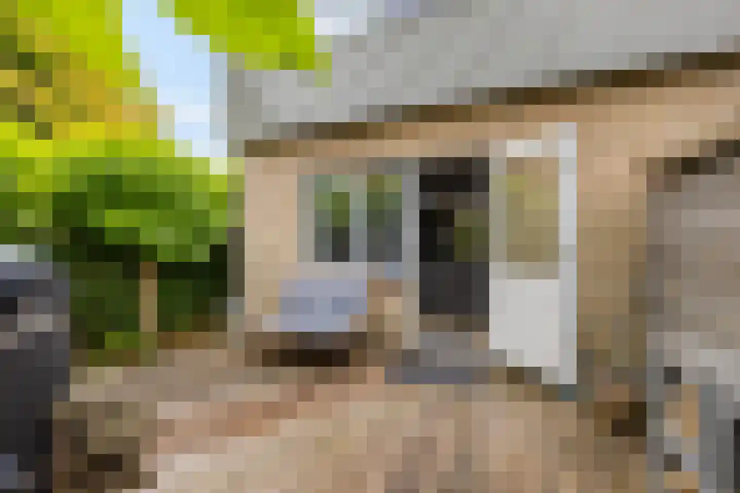 Speenkruidstraat 32 Groningen thumbnail 43