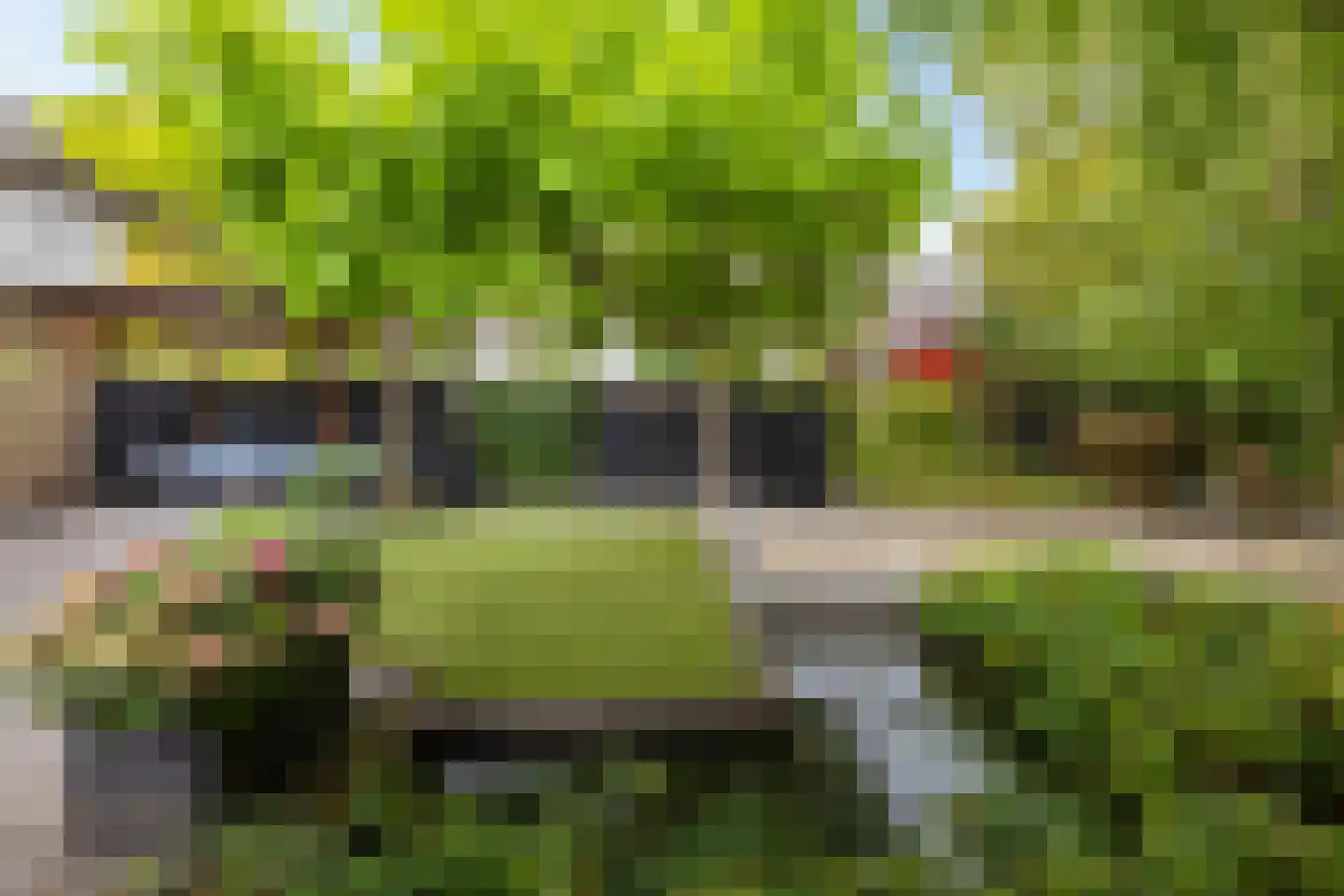 Speenkruidstraat 32 Groningen thumbnail 48