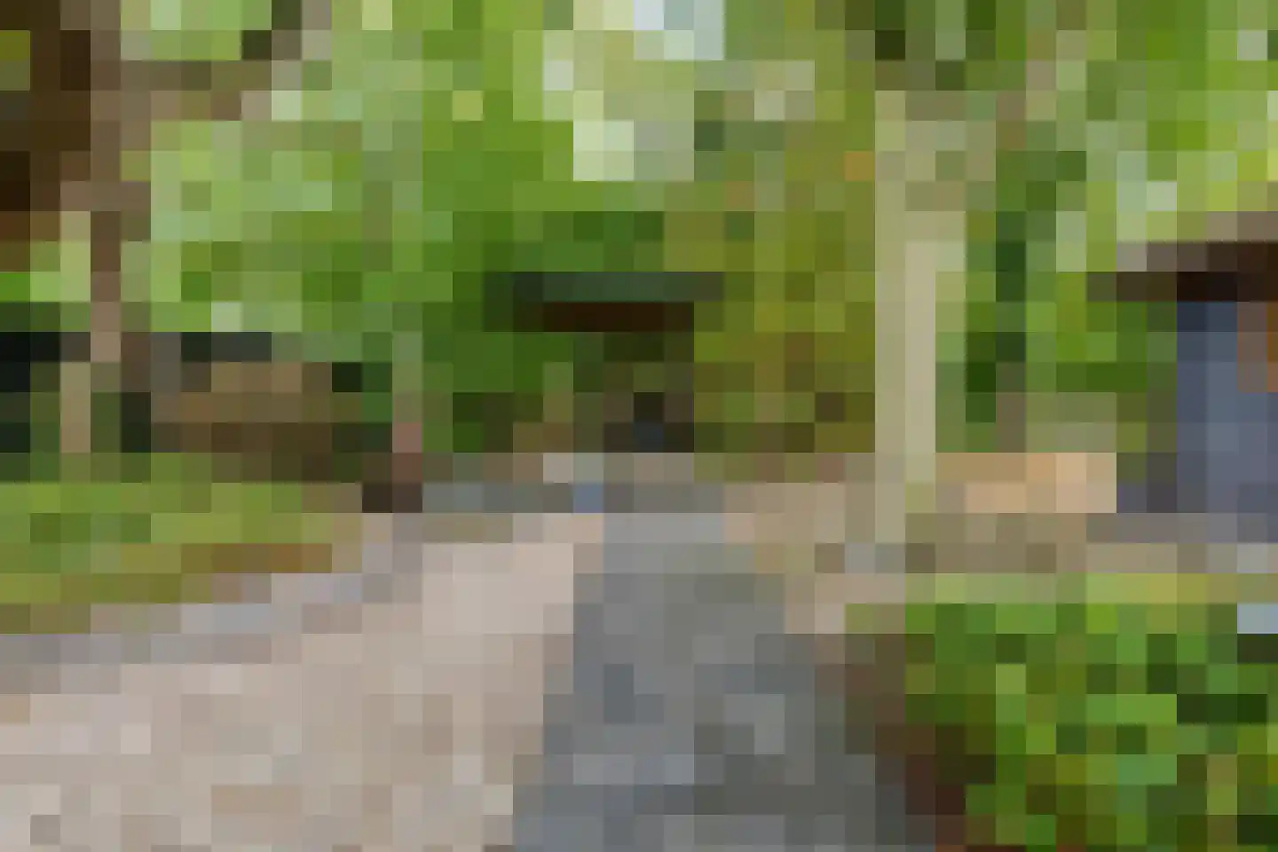 Speenkruidstraat 32 Groningen thumbnail 49