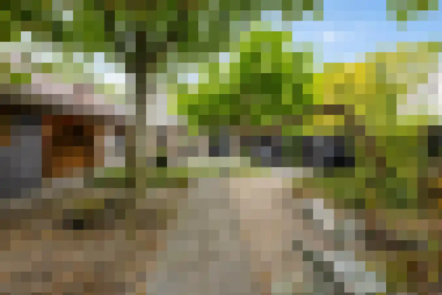 Speenkruidstraat 32 Groningen thumbnail 50