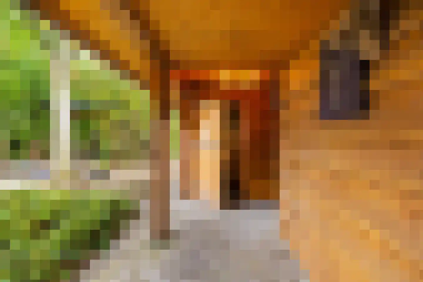 Speenkruidstraat 32 Groningen thumbnail 51